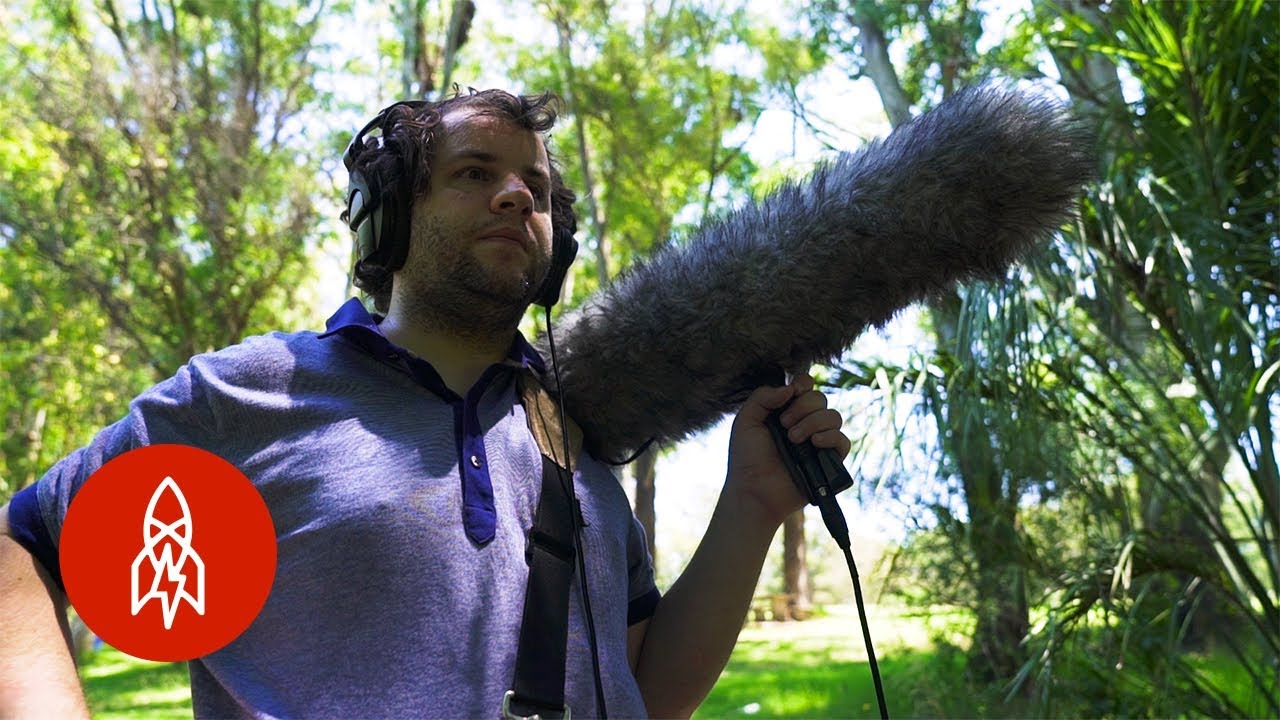 Ornit&oacute;logo ciego ve aves a trav&eacute;s del sonido