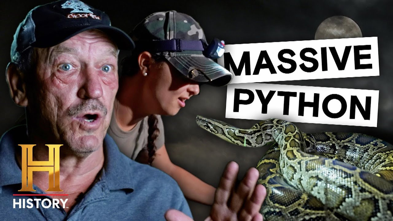 Which Hunter Will Catch the LARGEST Python?! | Swamp People: Serpent Invasion (S5) | History