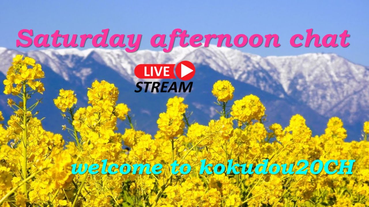 Saturday afternoon chat ‼　土曜の午後の雑談Timeだよ～‼