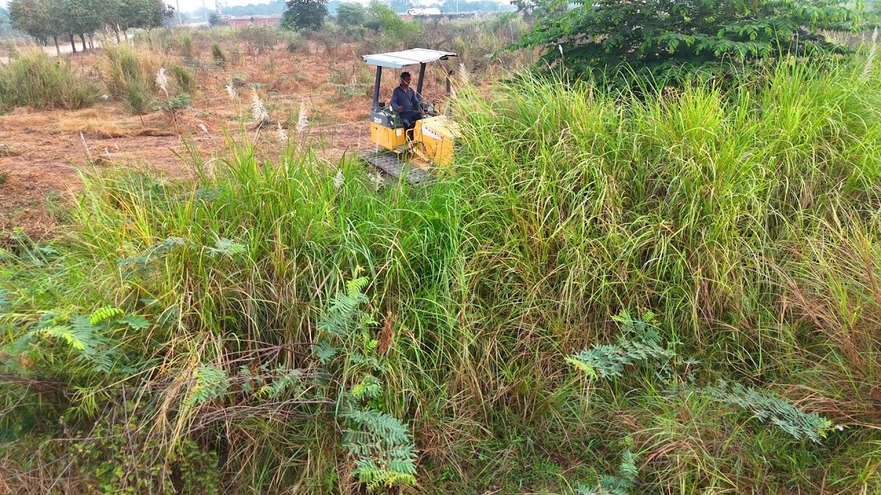 Impressive Project Operator Skills Clearing The Forest By Dozer D20P Good Forest & clearing