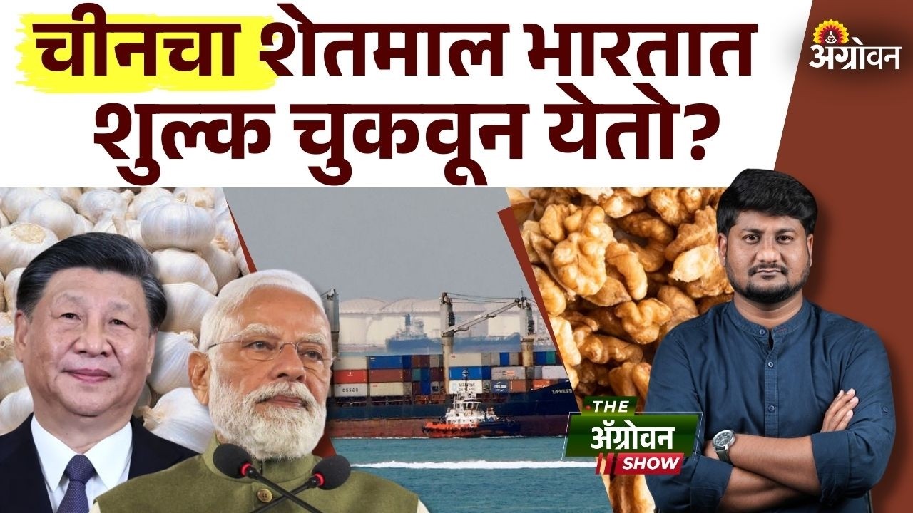 China Import : चीनचा शेतमाल भारतात कोणत्या मार्गाने येतो? | Agrowon