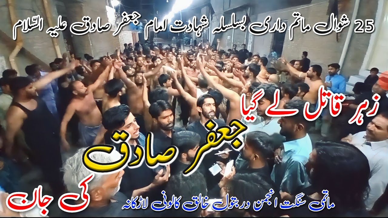 Zehar Qatil Le Gaya Jafar e Sadiq Ki Jaan | Matamdari 25 Shawal New Noha 2023 | Anjuman Dar e Batool