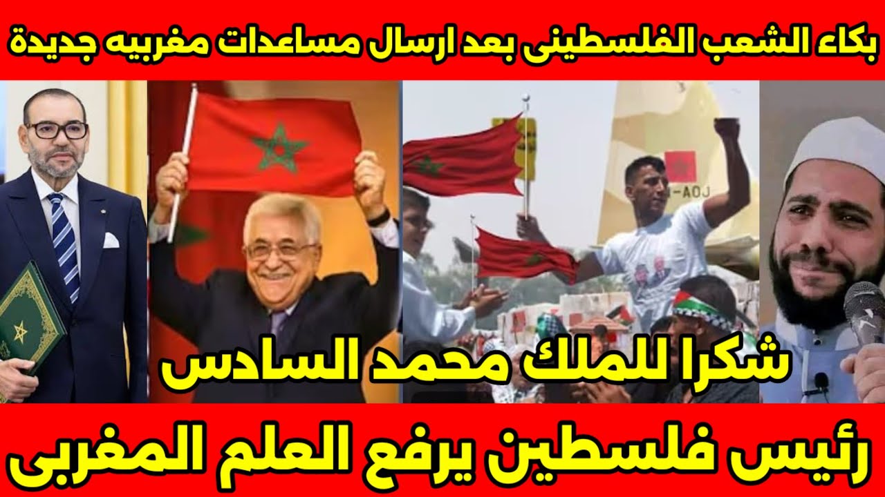 الشيخ محمود الحسنات يبكي من الفرحه ويشكر الملك والمغرب بعد ادخال مساعدات مغربيه للاراضي الفلسطينيه🇲🇦