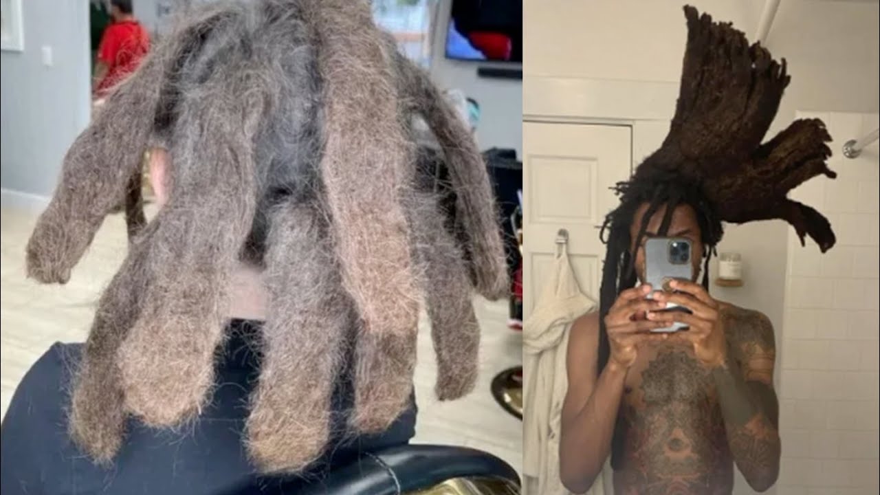 Sensational Freeform Dreadlock Styles