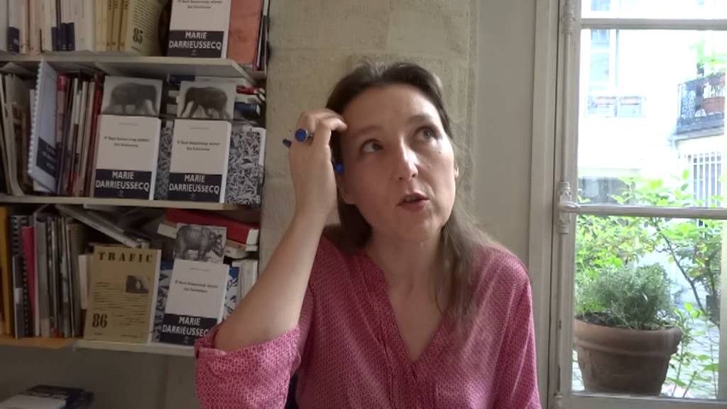Marie Darrieussecq Il faut beaucoup aimer les hommes