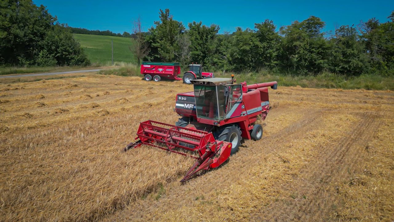 Moisson de l’orge 2025