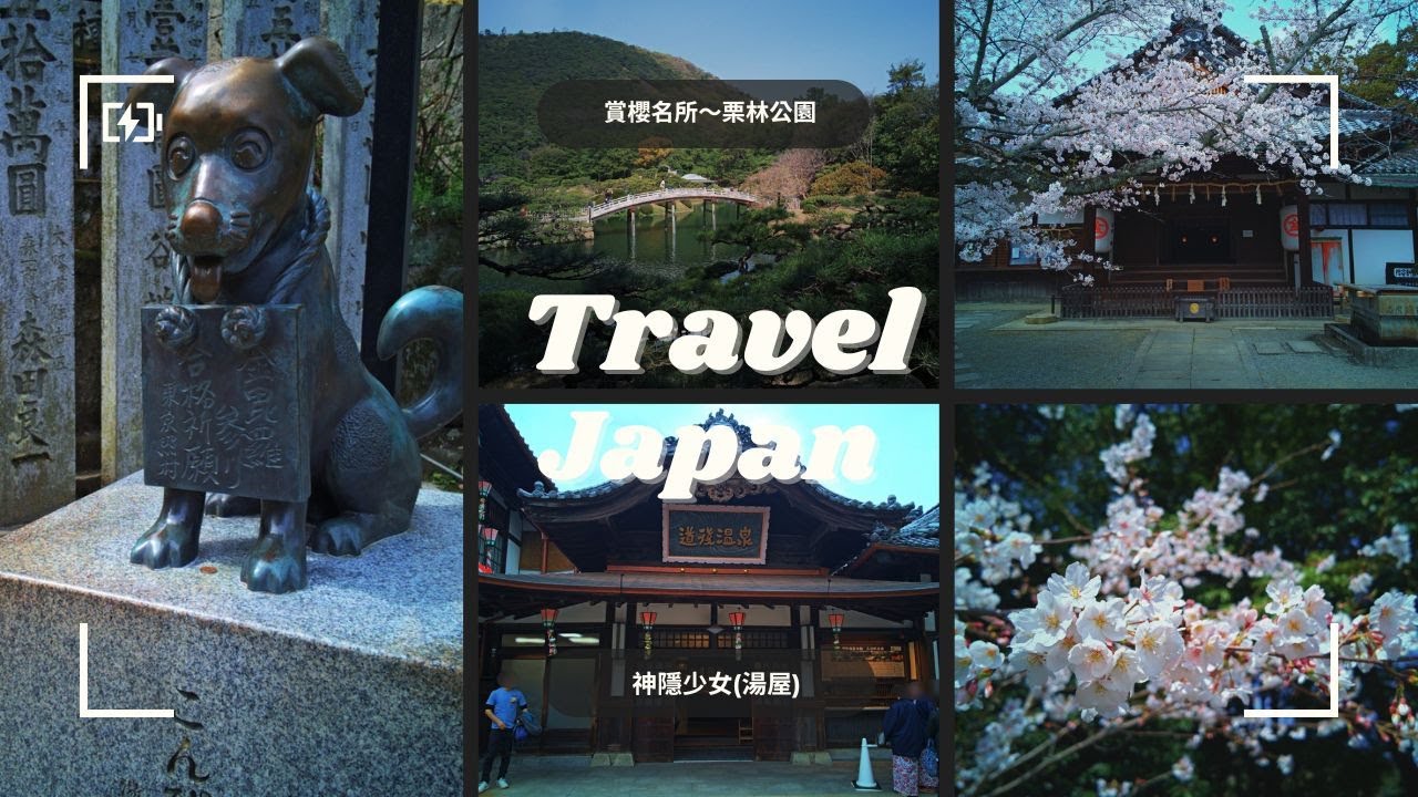 四國櫻花之旅：道後溫泉的奇幻、栗林公園的詩意、金刀比羅宮的信仰 #愛媛旅行 #四國景點 #日本旅遊