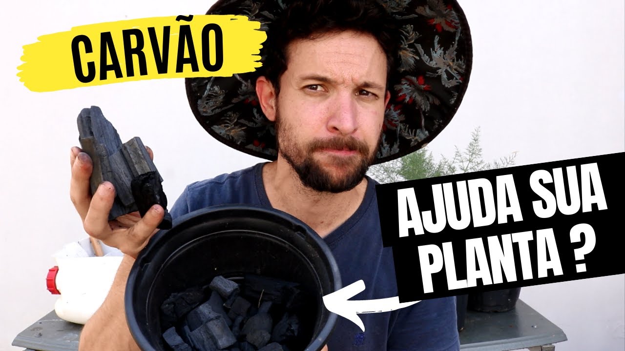 Carvão nas suas plantas🌱 Como usar do JEITO CERTO ☑