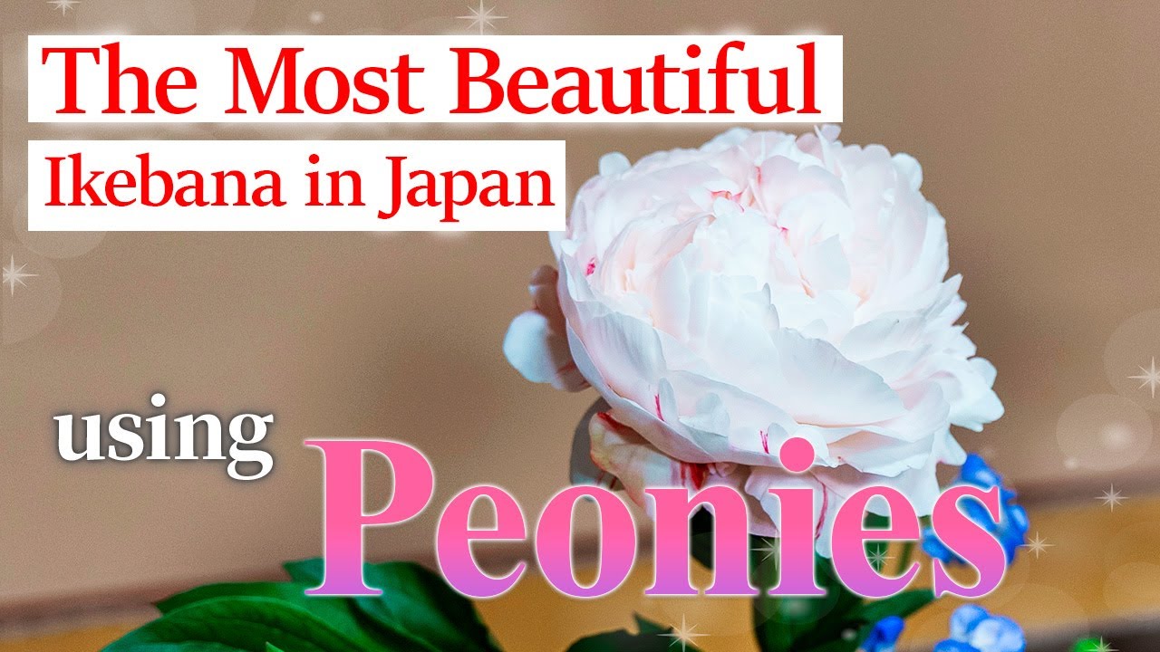 The Most Beautiful Ikebana in Japan Recommended by the Ikebana Master