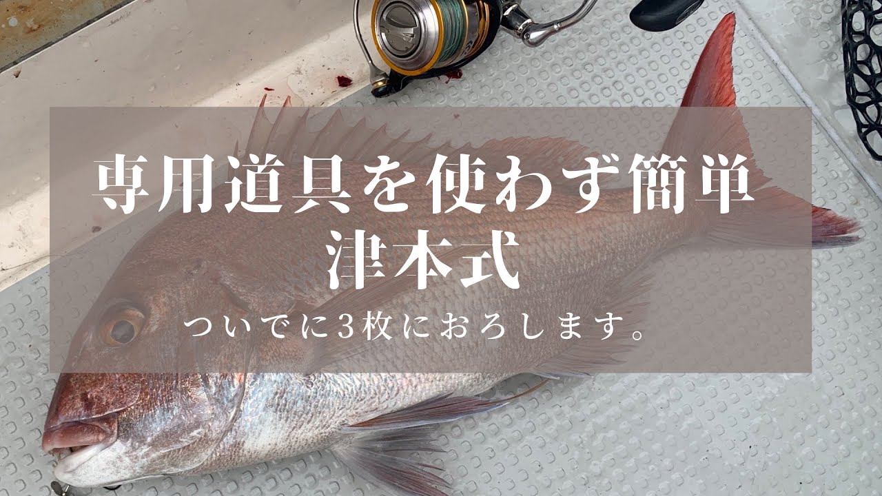 【実践解説】誰でも簡単！ 器具要らずの津本式！ &マダイ三枚おろし！