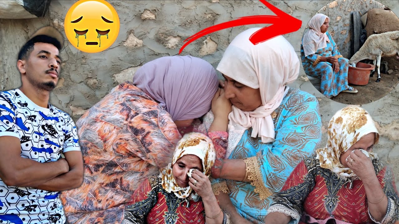 جوبناكم على تعاليكم بخصوص النعجة🐑بقات فينا...هذا مكتاب عليها وكتاب علينا 0620169684😭