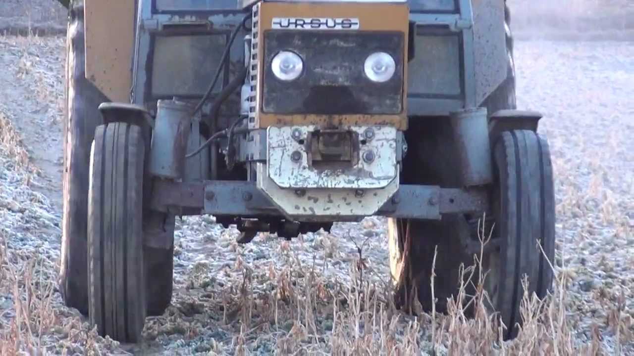 Przestępny początek- Nawóz 2012