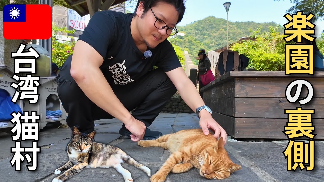 Taiwan Houtong 🐈🇹🇼 Исследуем топ 6 кошачьих мест мира!
