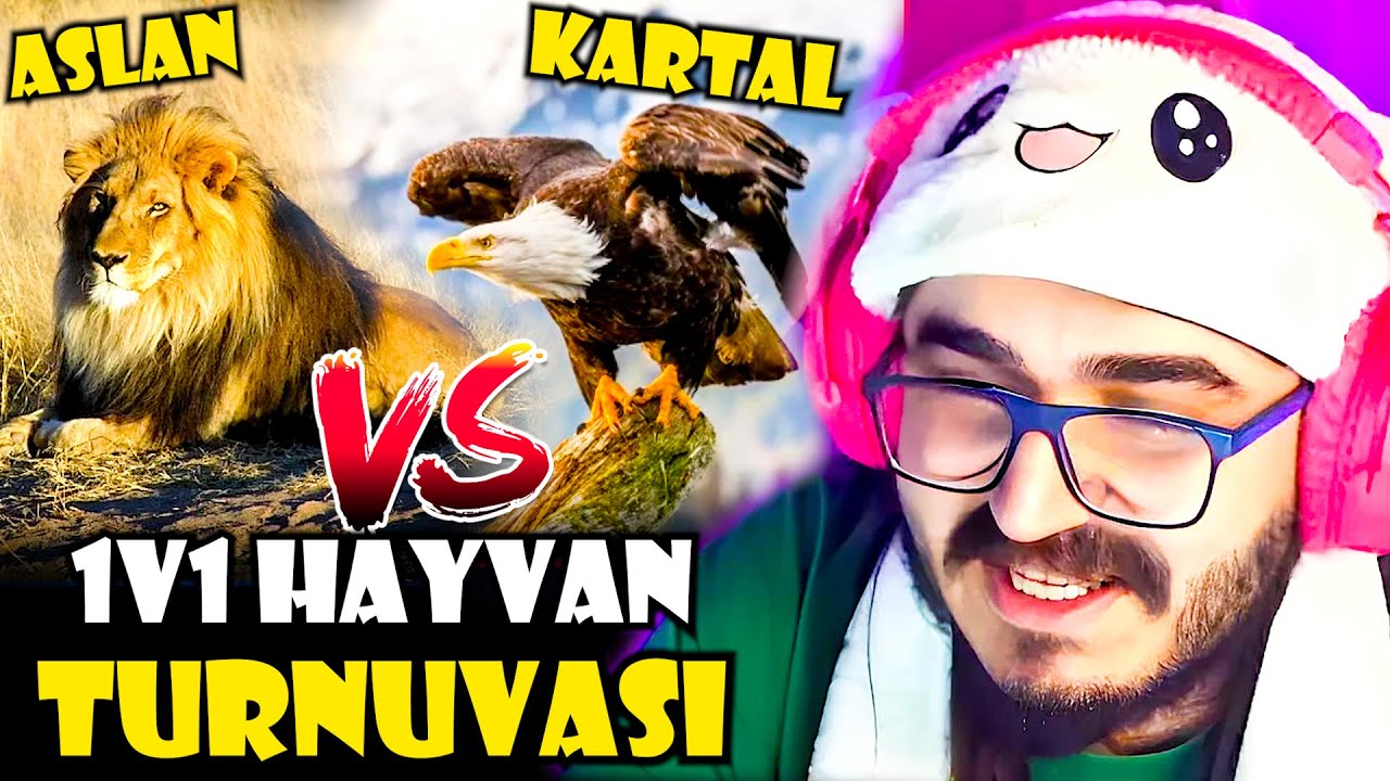 Kendine Müzisyen - Chat İle '1v1 Hayvan Turnuvası' Quizi Çözüyor! | Gül Dikenini Boynuz Yaptınız Mı?