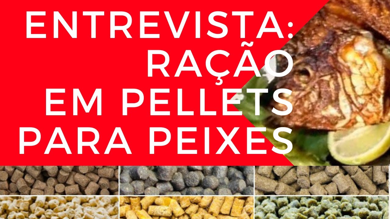 Live: Ração em Pellets Para Peixes na Prática | Entrevista: Gledston Paraíba Piscicultor
