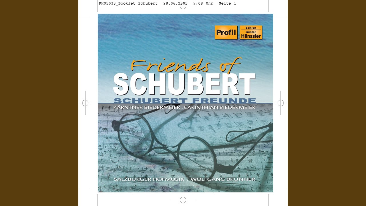 Piano Trio in E flat major, Op. 100, D. 929: II. Andante con moto