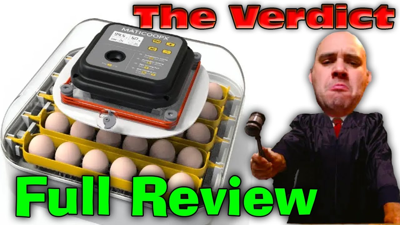 Maticoopx 30 Egg Digital Incubator! *Full Review* Is it worth it?