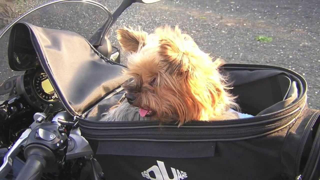 Mein Motorradleben in knapp 2 Minuten.
