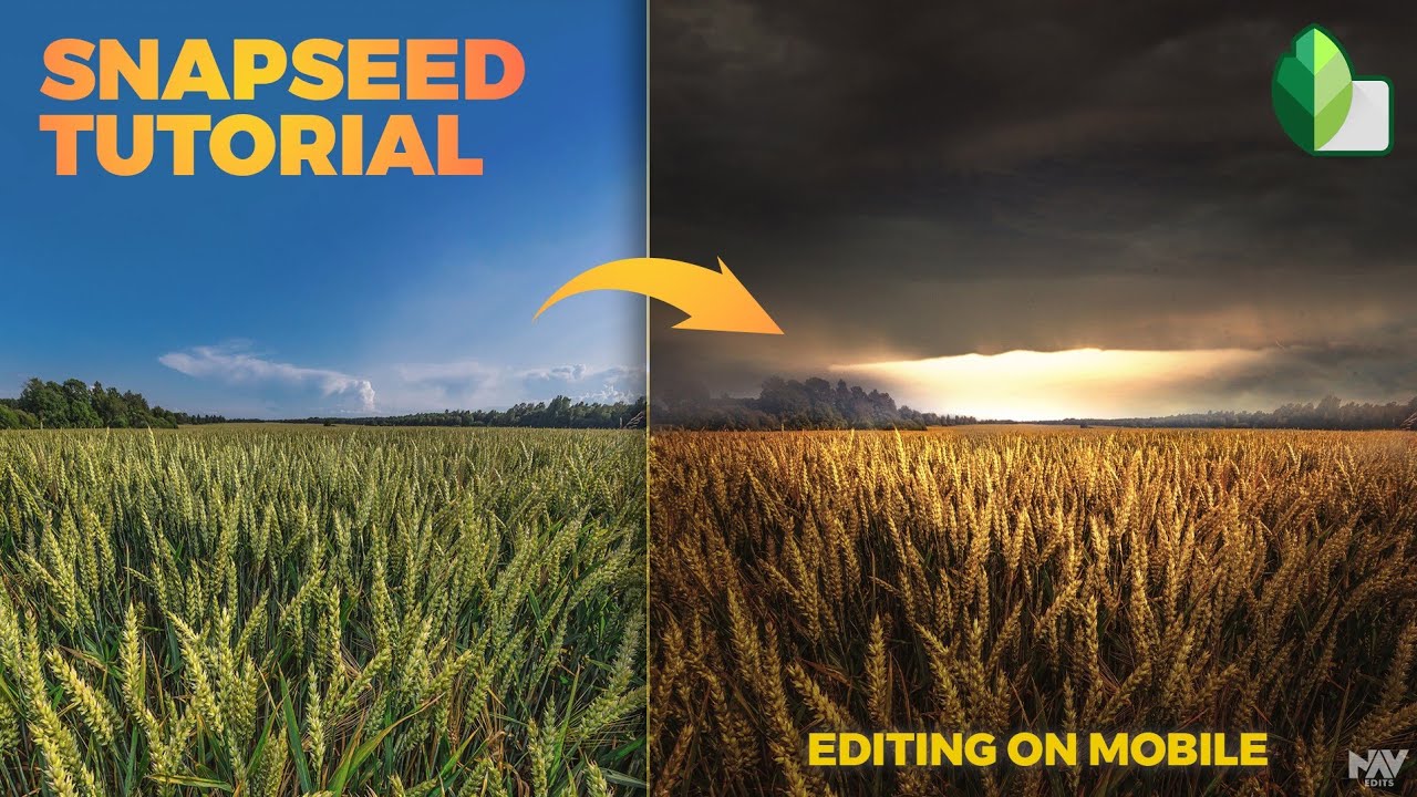 Make Dramatic GOLDEN EVENING Landscapes in Snapseed | SNAPSEED TUTORIAL | Android | iPhone