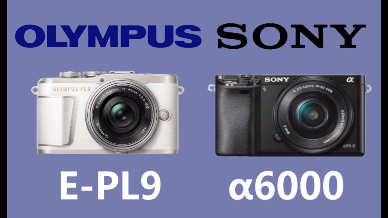 OLYMPUS PEN E-PL9 vs SONY a6000