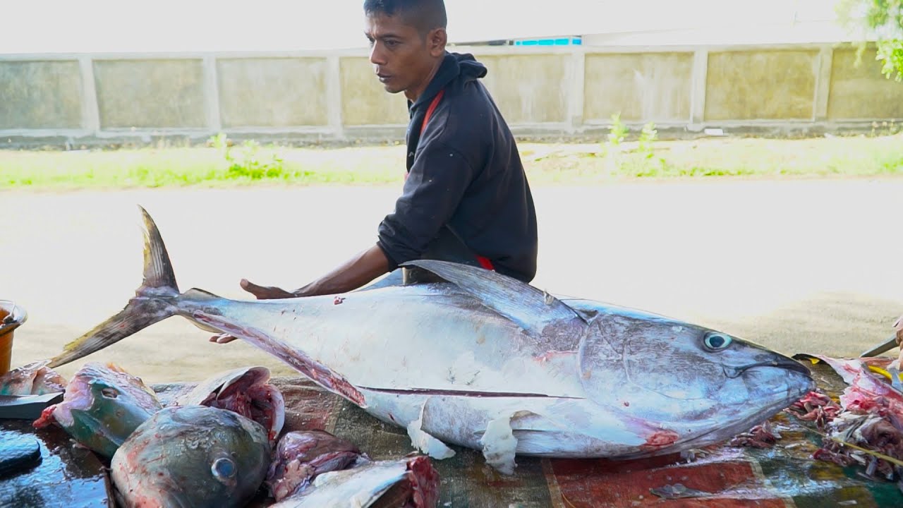 Unbelievable! Giant Fish Cut on the Roadside | Street Food Style