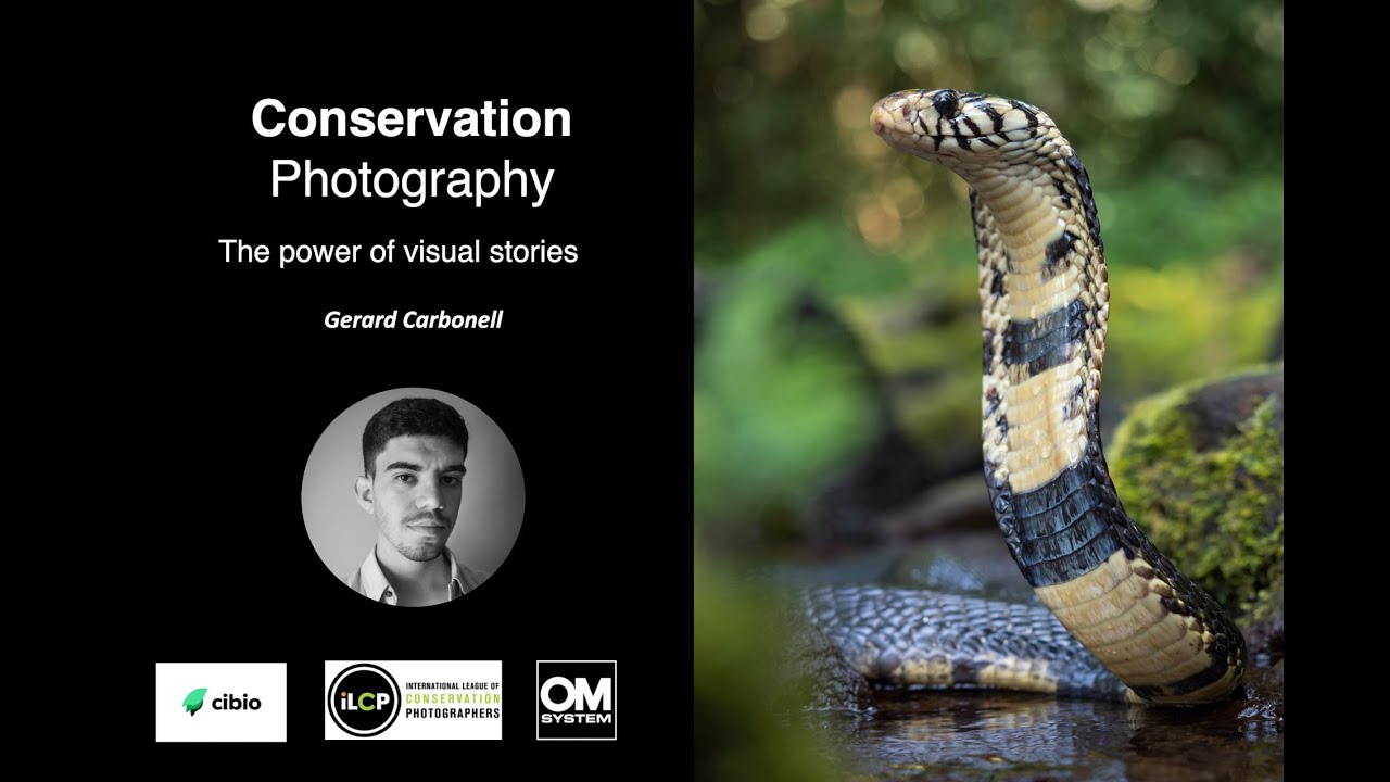 Conservation Photography | Gerard Carbonell | BIOPOLIS-Cibio Universidade do Porto