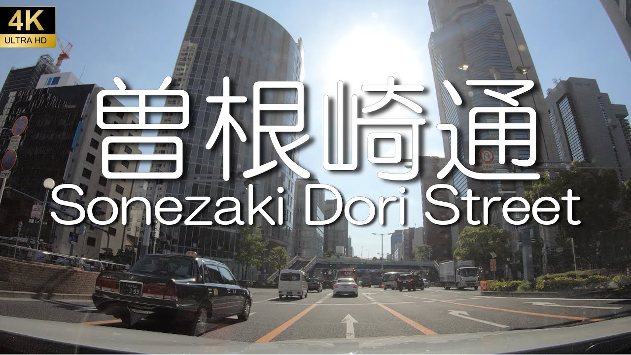 【Osaka】Sonezaki Dori Street. 4.8km.