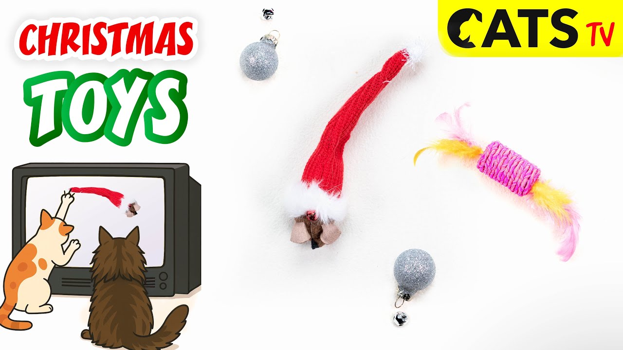 GAMES FOR CATS  😻Christmas toys 🎄🐭 Compilation 📺 CATS TV