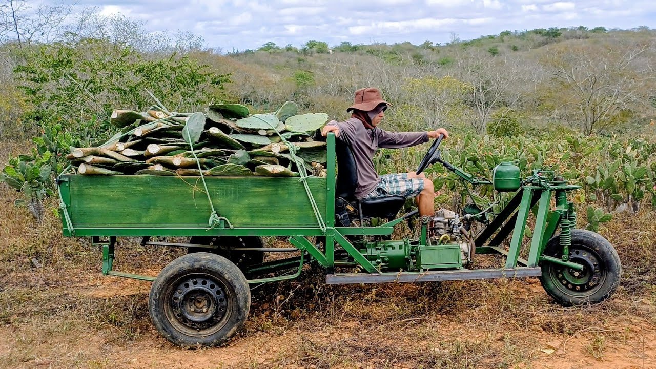 VOCÊ CONHECE O BURRO DE FERRO, A NOVA TENDÊNCIA DAS FAZENDAS .
