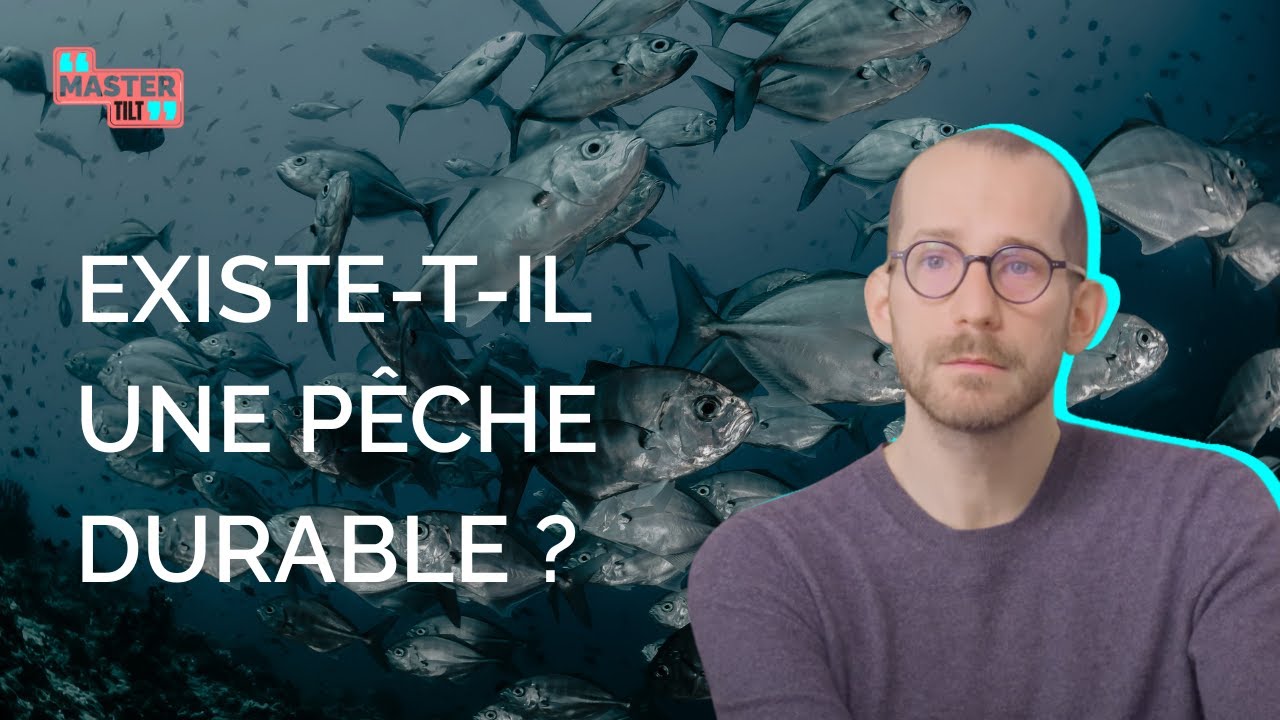 P&ecirc;che durable : comment prot&eacute;ger nos oc&eacute;ans ? | Fr&eacute;d&eacute;ric Le Manach