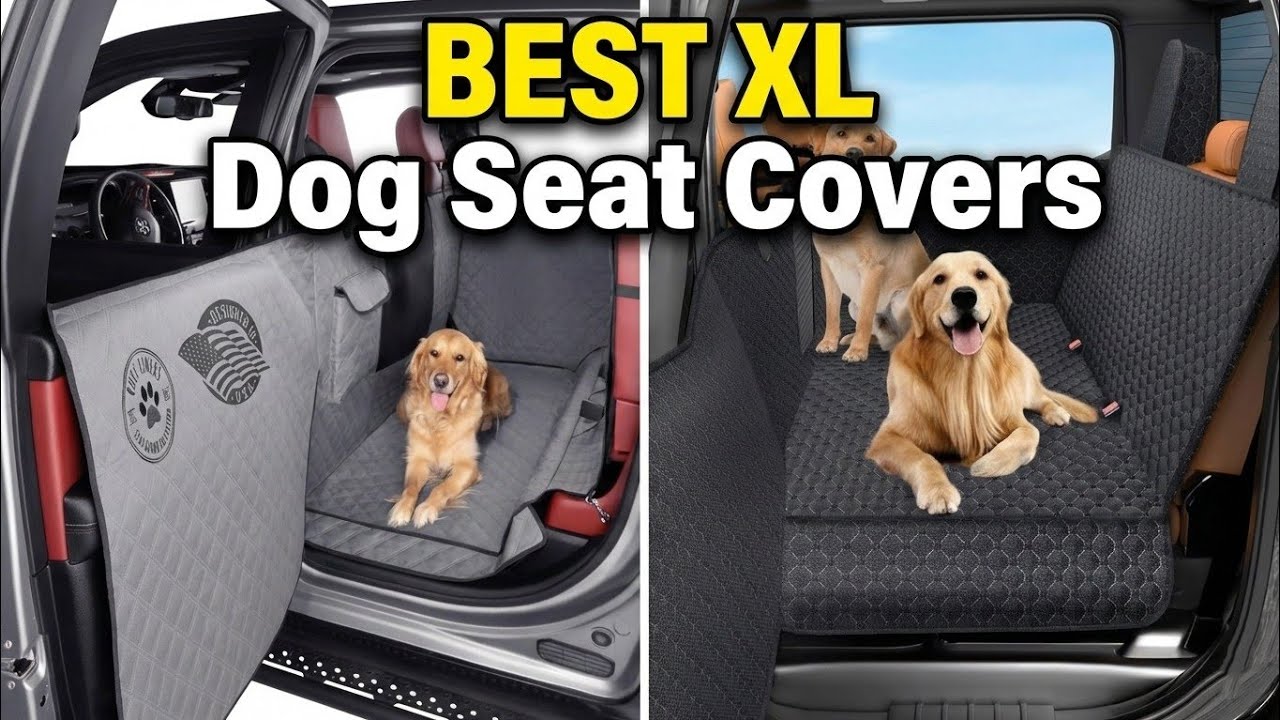 BEST XL Dog Seat Covers: Top 5 Picks & Buyer's Guide [2026 Review]