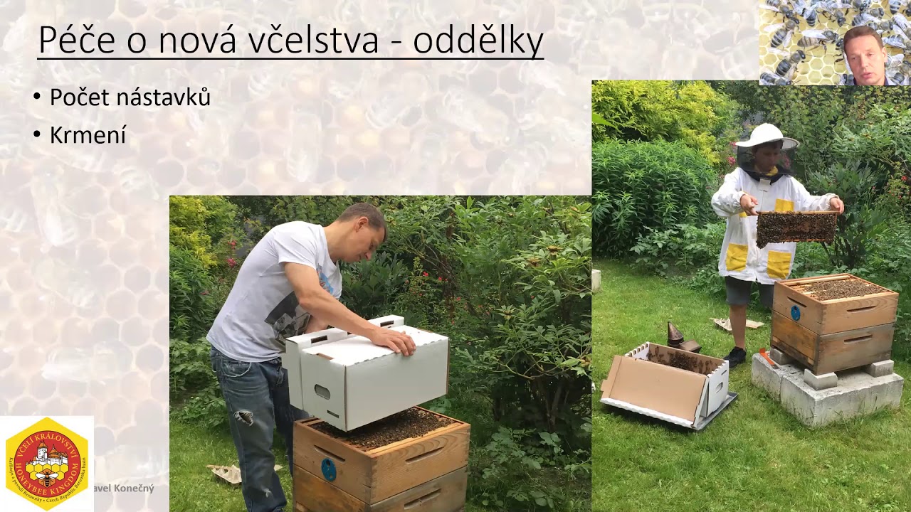 Péče o nové oddělky a nová včelstva