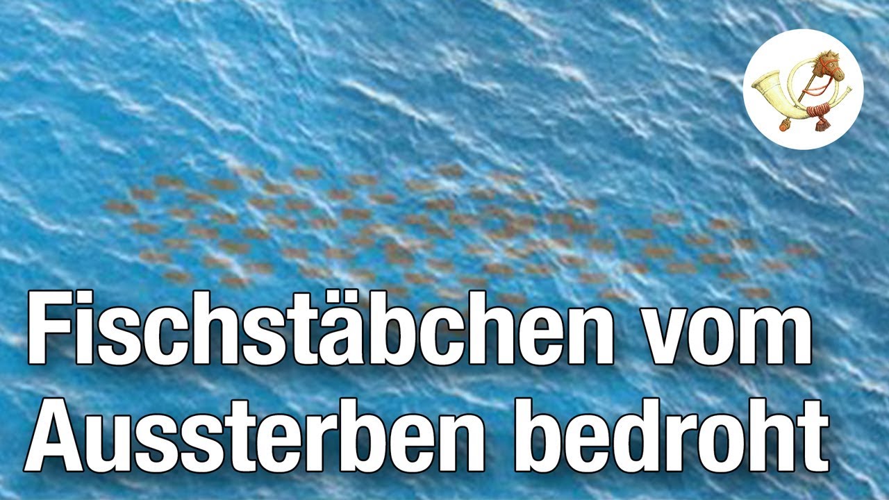 Fischst&auml;bchen vom Aussterben bedroht [Postillon24]