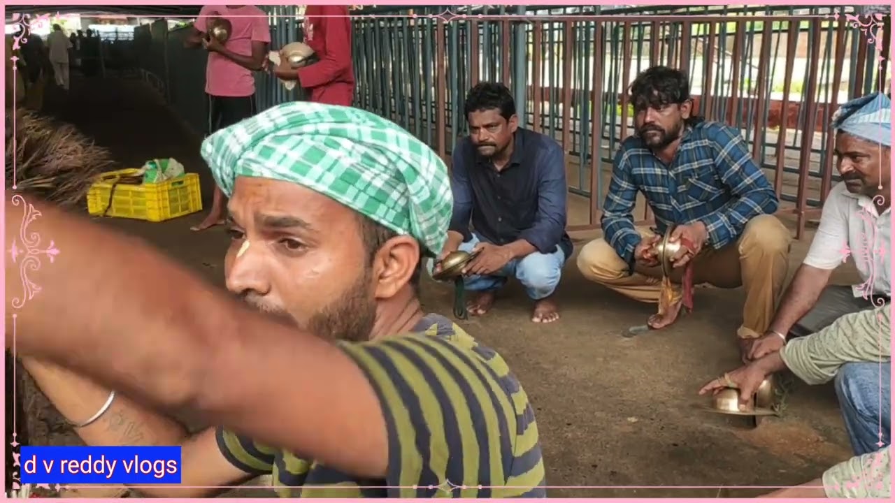 endada vommi vari seva garide 🙏//d v reddy vlogs//sevagaride//viral video//telugu devotional