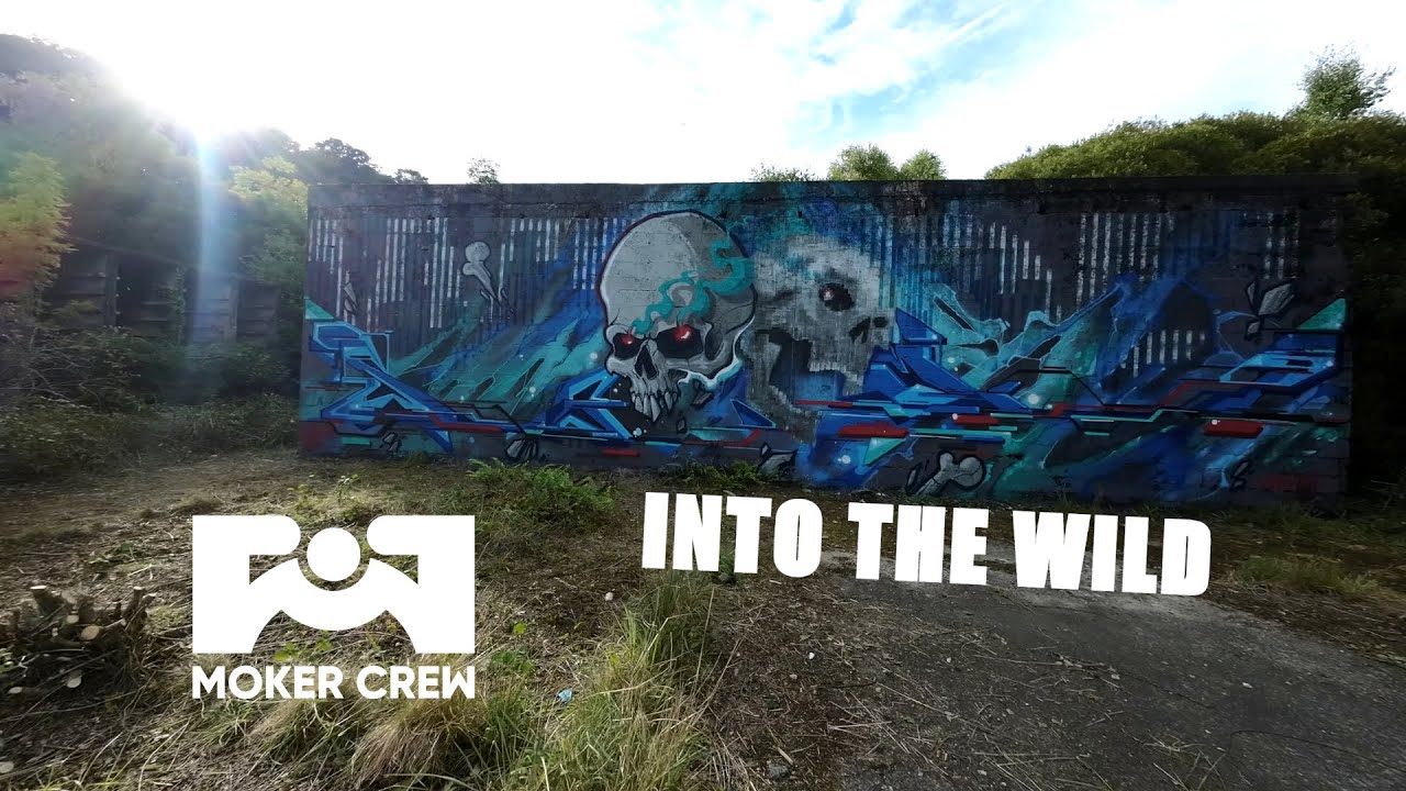 INTO THE WILD - feat Moker crew