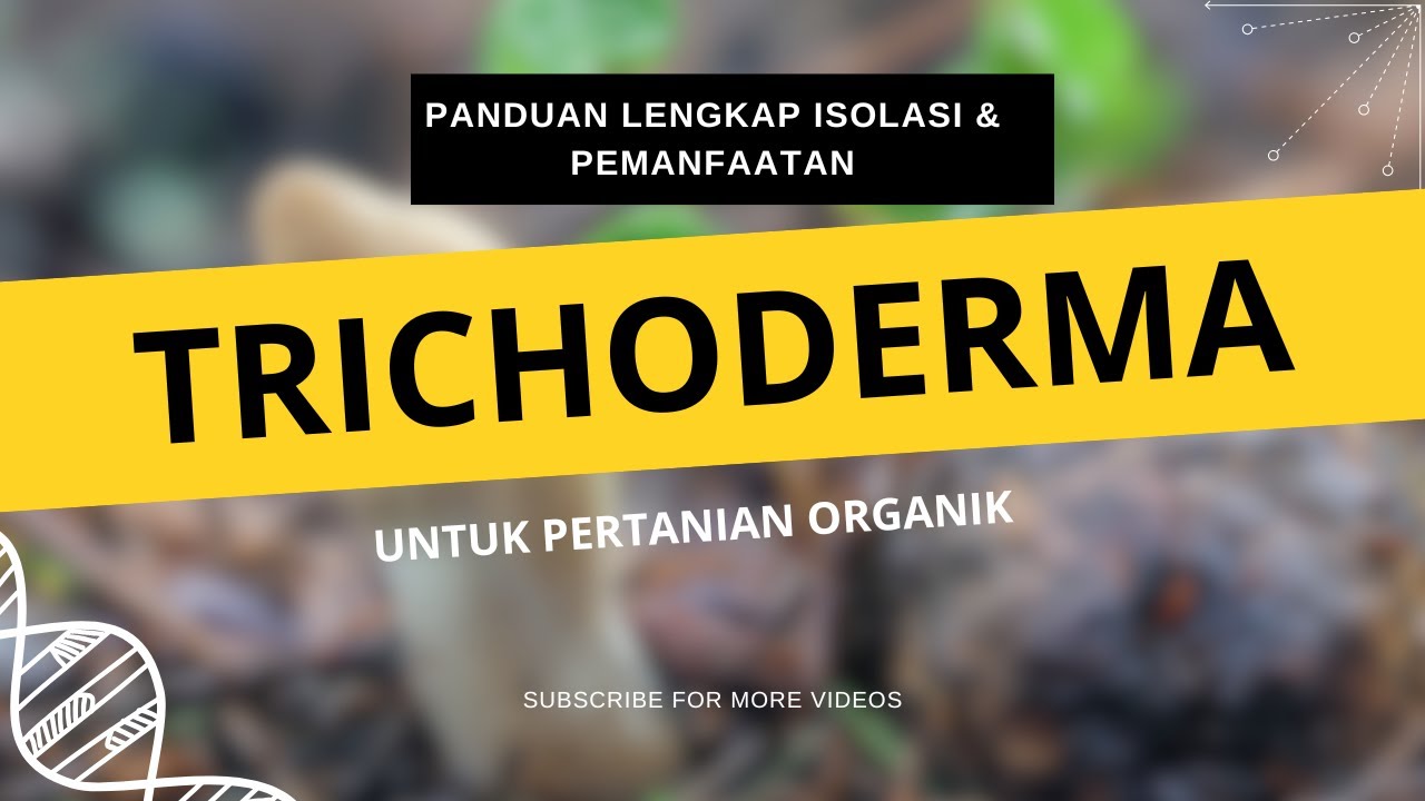 Cara Mudah Membuat Trichoderma dari Bahan Alam + Tips Penyimpanan yang Tahan Lama!