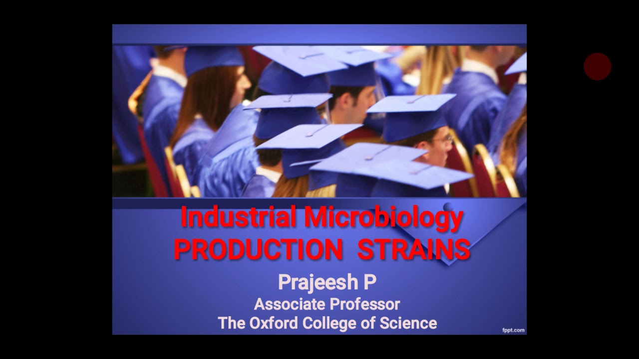 Industrial microbiology-production strain
