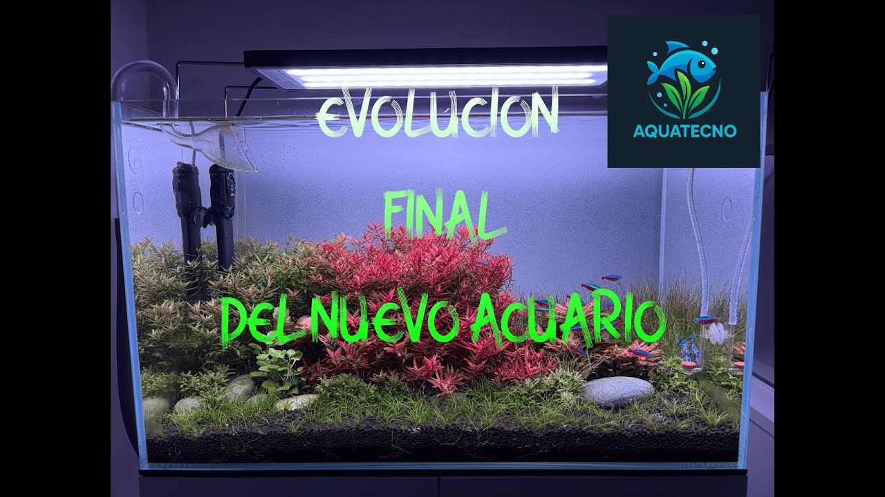 Evolución del nuevo ACUARIO