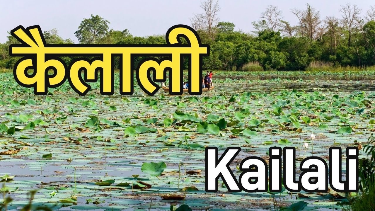 कैलाली जिल्ला || Kailali District || interesting facts about Kailali #Kailali ​⁠​⁠@Toplistshowhindi