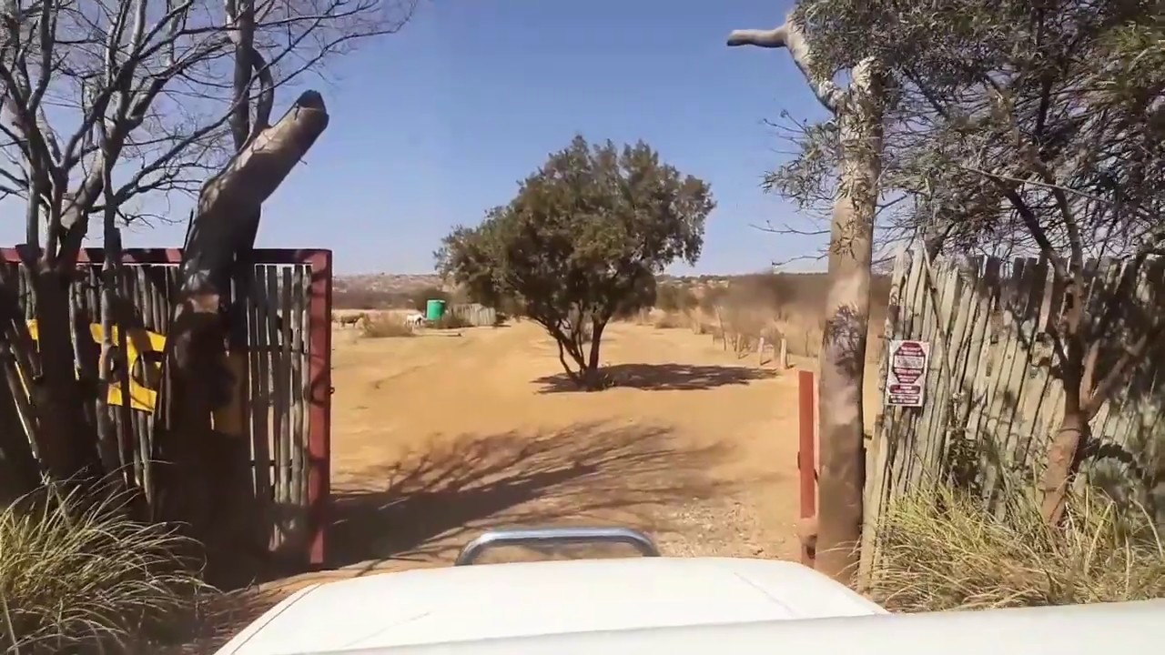 Weekend at Warthogs Bush Camp