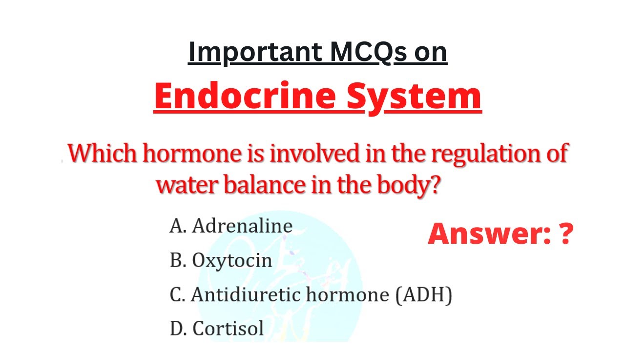Important MCQs on Endocrine System for Medical, Nursing and Paramedical