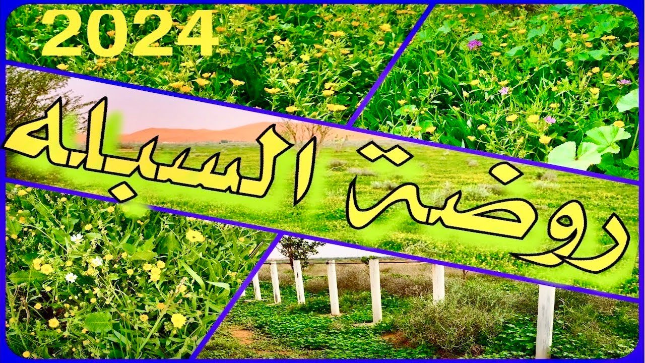 جولة على ربيع روضة السبلة عام ١٤٤٥ هـ