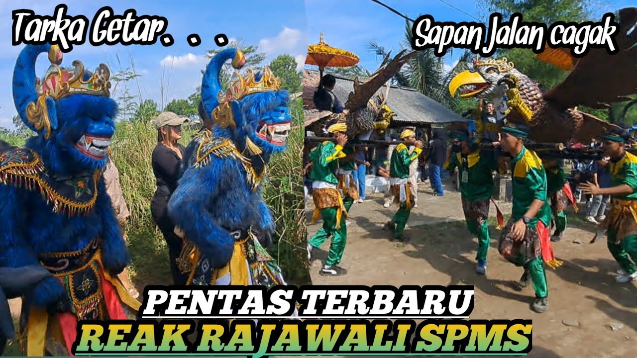 PENTAS TERBARU BERSAMA TARKA GETAR SENI REAK RAJAWALI SPMS‼️DI SAPAN JALAN CAGAK💥