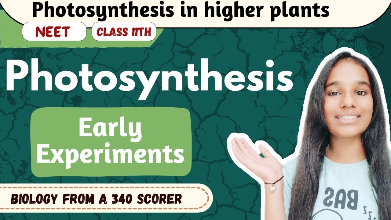 Photosynthesis Early Experiments | NCERT | NEET Biology | Class 11th.