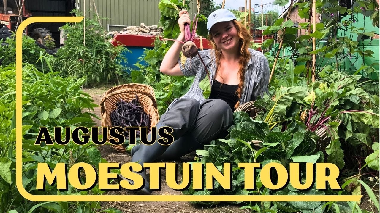 Augustus MOESTUIN TOUR! | Na 2 weken VAKANTIE