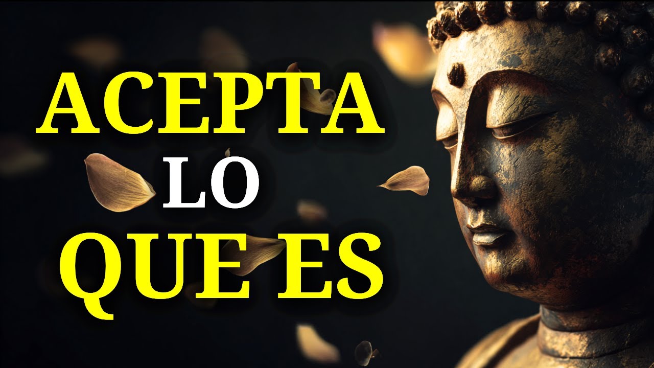 (SIN ANUNCIOS) Duerme Con Las Mejores Enseñanzas Sobre Aceptar Lo Que No Puedes Cambiar