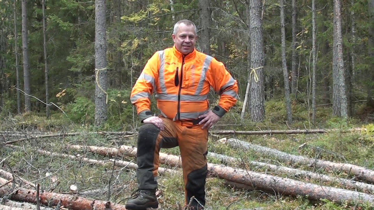 Metsolan Metsäkoulu 32, Ensiharvennuksen hakkuutekniikka. Lopputulos ja loppusanat