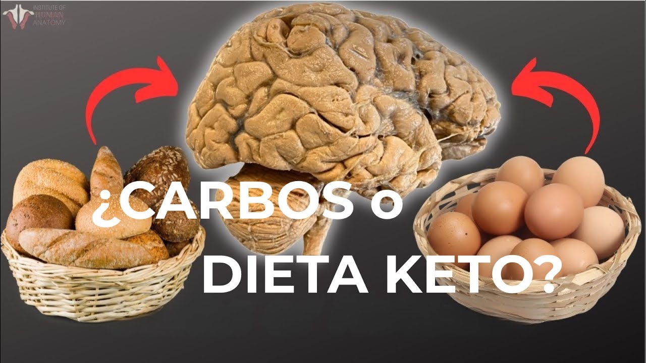 ¿De VERDAD puedes vivir SIN CARBOHIDRATOS? Keto vs Carbohidratos.