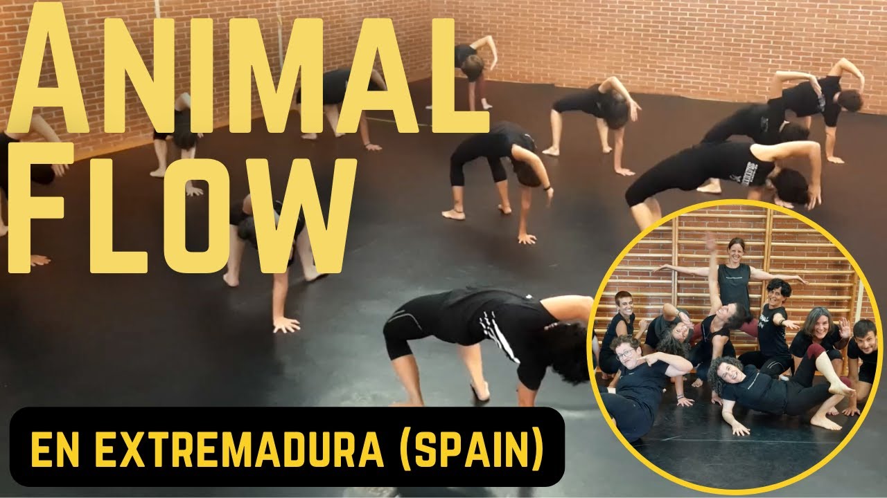 Animal Flow Curso 2021-2022
