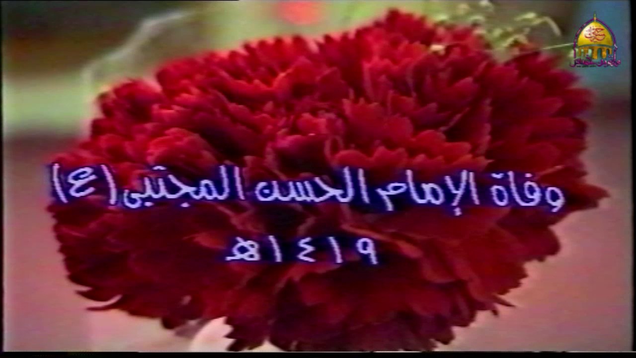 الرادود حسين عبدالرسول و حسين أحمد | لعام 1419هـ